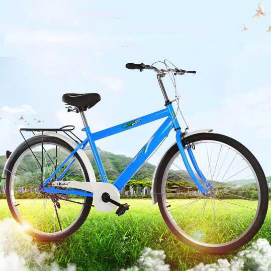 مراقبת Chất lượng ותאימות להזנות