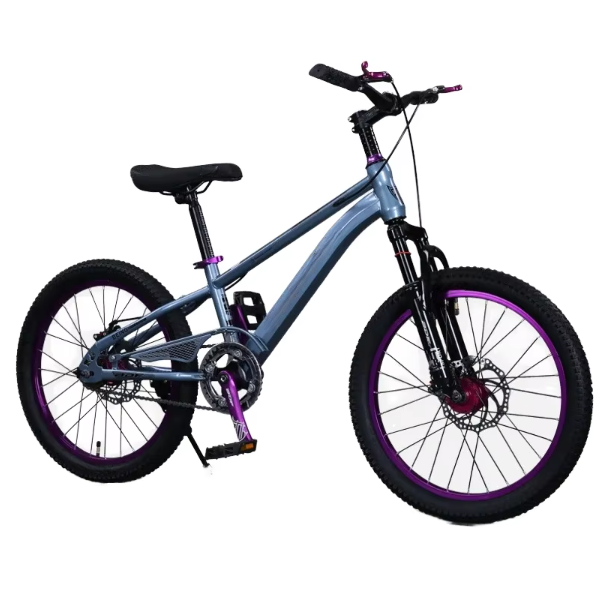 Wholesale 18 Inch Single Speed Pedal Bike Kids Cycle Style Steel Fork Disc Brake Boys Girls Mountain Bike Ordinary Pedal Type