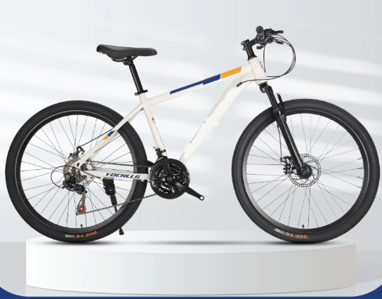 Top Reasons Why a Bike Is the Smartest Choice for Urban Living