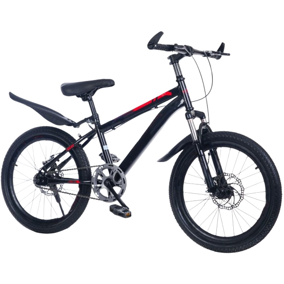 20-Inch Steel Disc Brake Mountain Bike for Children Shock-Absorbing with Single Speed and Ordinary Pedal