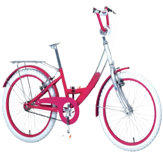 Beautiful 20-Inch New Kids Bike Designed for Girls Aged 8 to 12 Single Speed in Popular Colors with Steel Fork