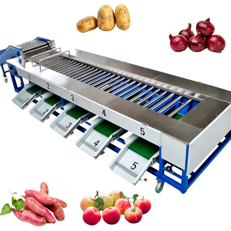 Automatic Fruit and Vegetable Sorting Equipment 