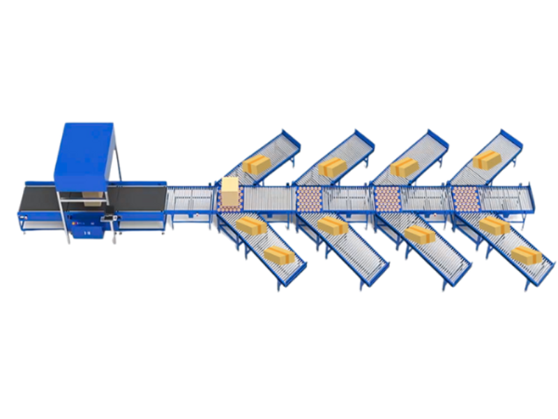 What Module Sizes Are Available for a Modular Belt Conveyor