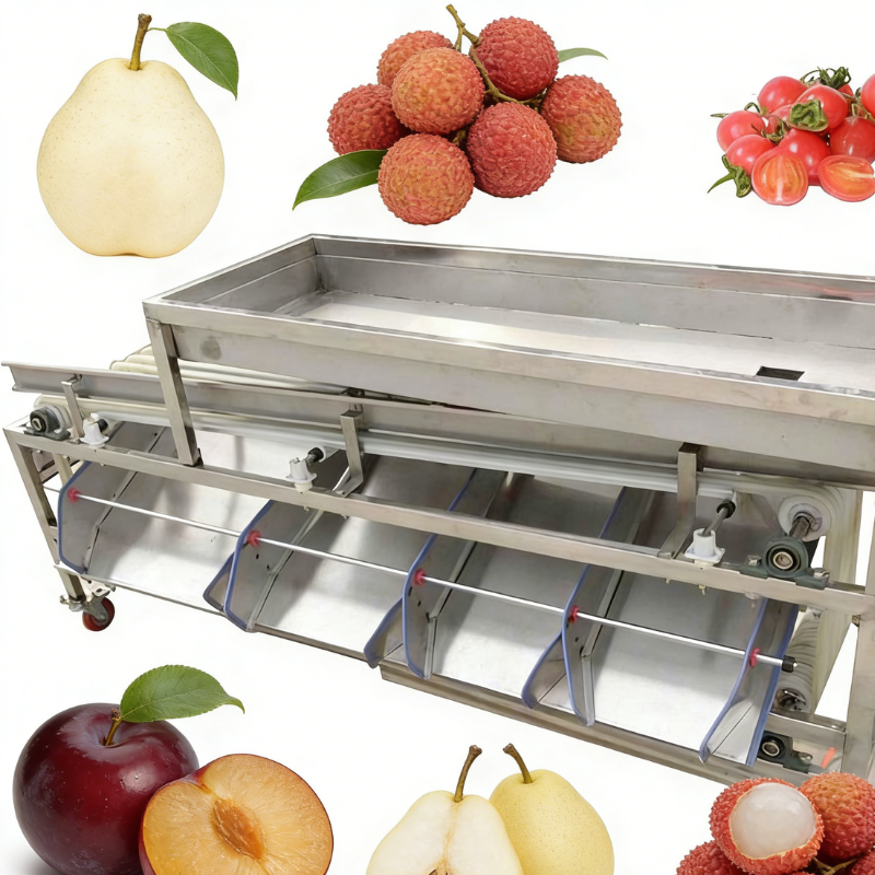 Automatic Fruit Grading and Sorting Machine