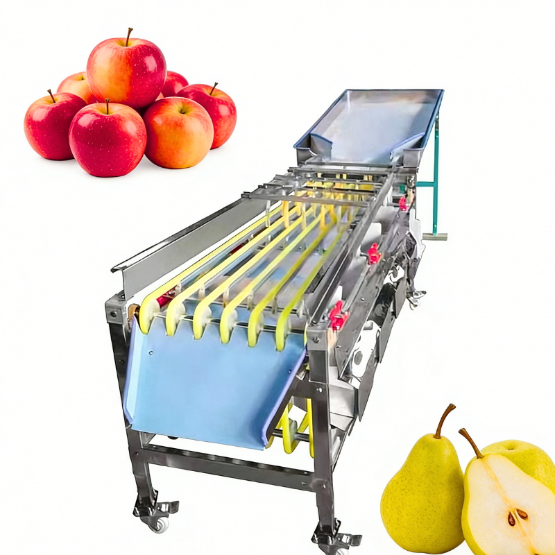 Automatic Fruit Size Sorting Machine