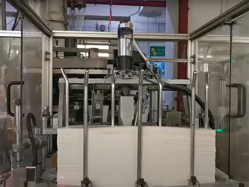 Behind the Scenes: Explore Our High-Tech Paper Cup Production Line!