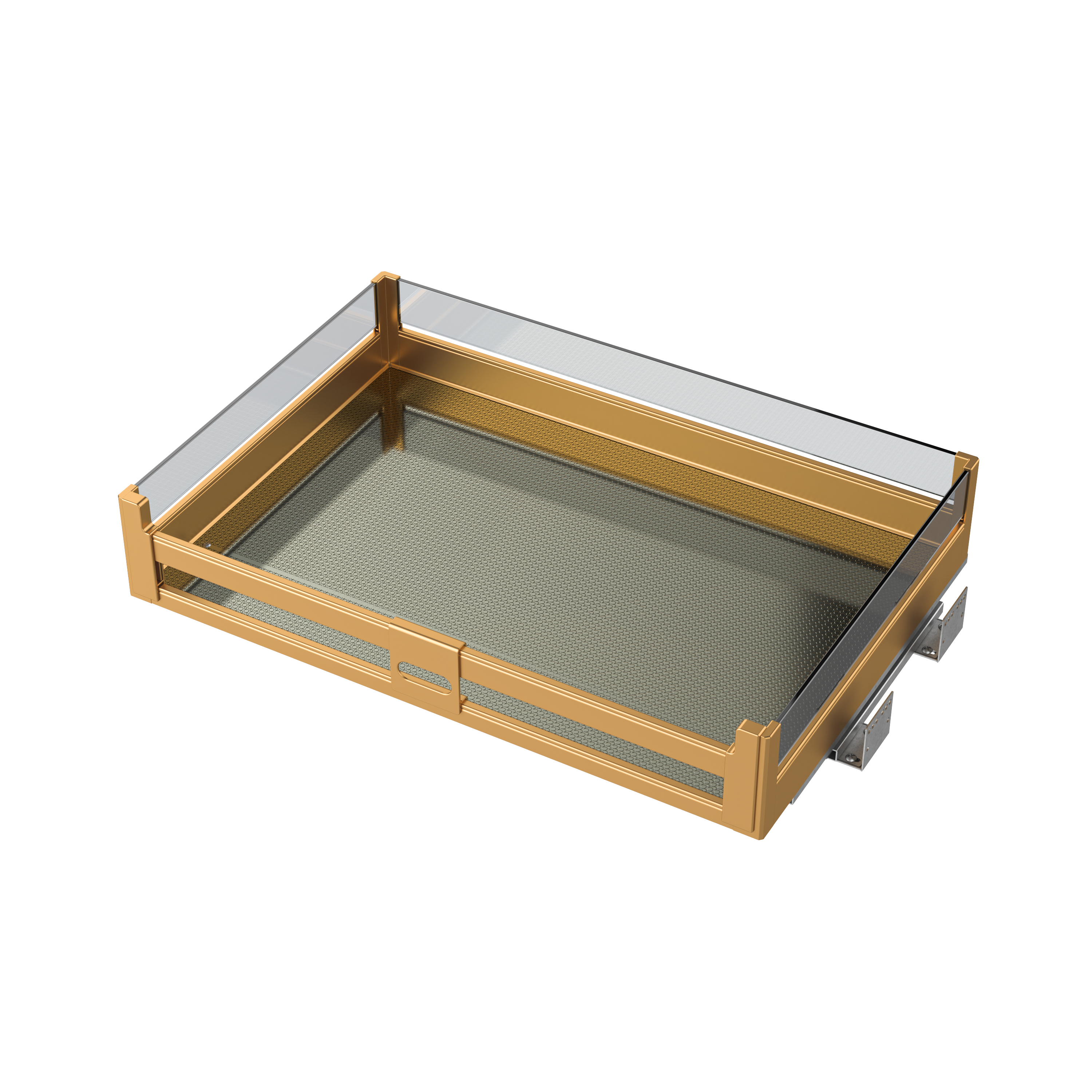 Extensive Product Selection and Expert Curation