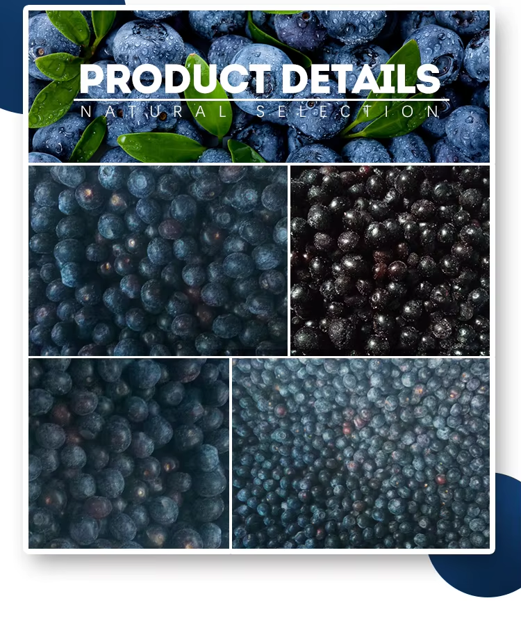 How Frozen Fruits Support Food Manufacturers in Seasonal Demaand