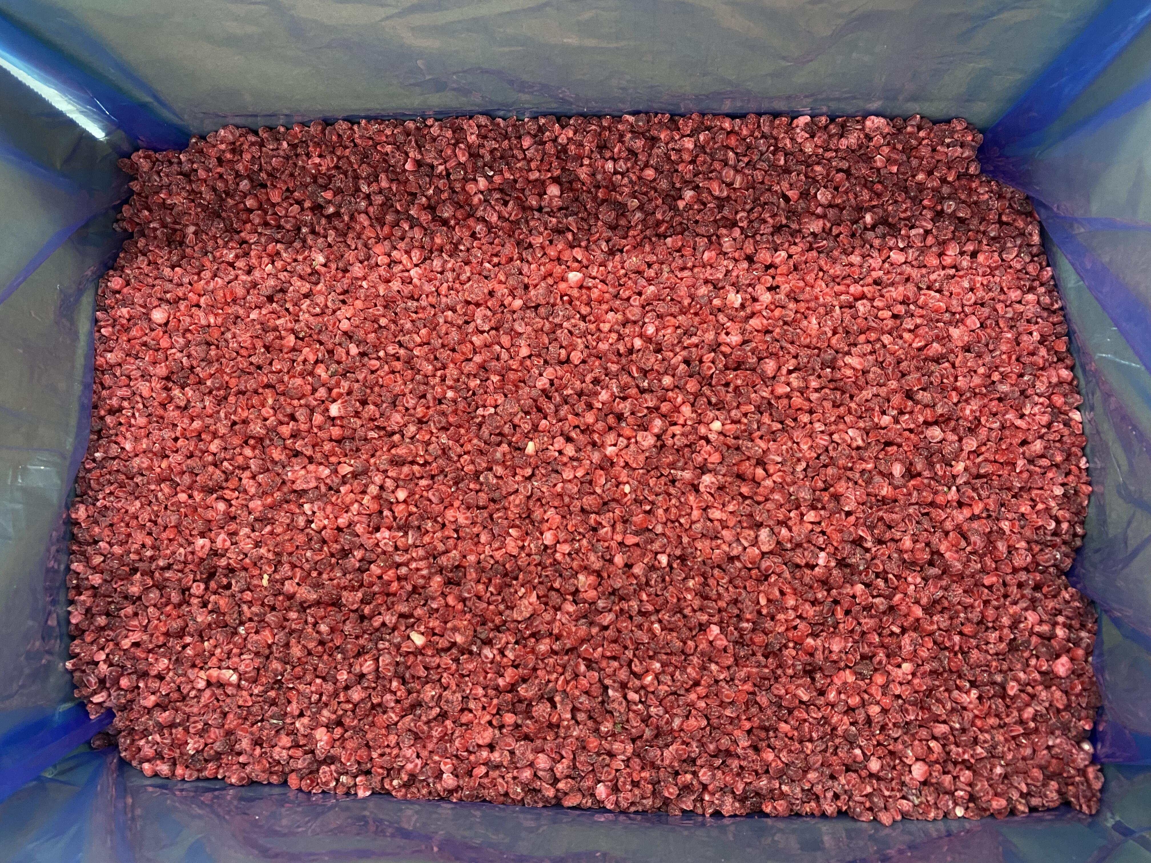 Công nghệ Bảo quản Tối ưu