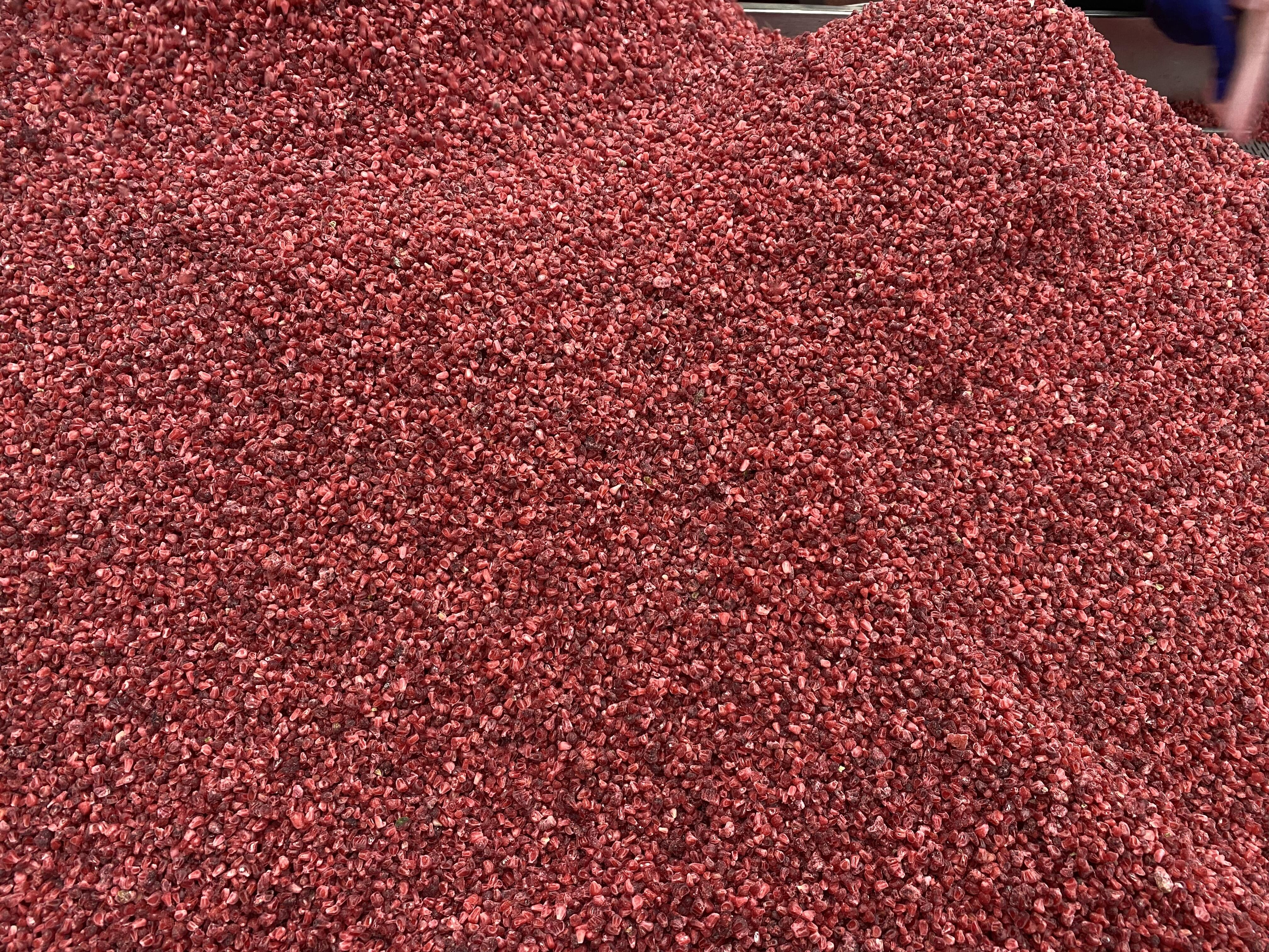 Which Frozen Fruits Offer the Best Value for Bulk Procurement