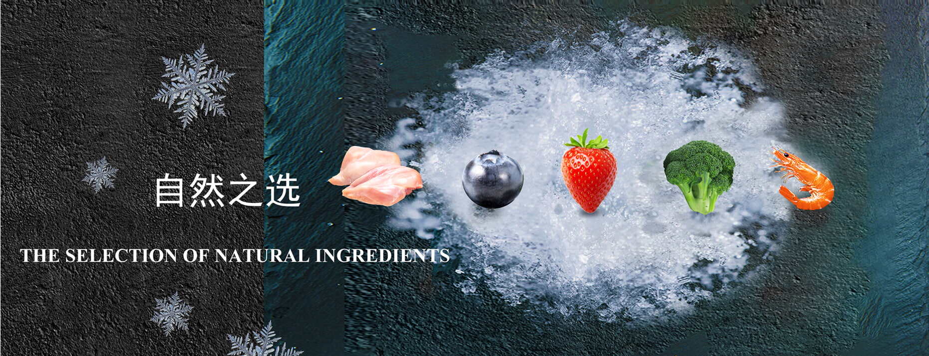 Global Frozen Food Supplier Since 2008 | Vegetables, Meat, Seafood