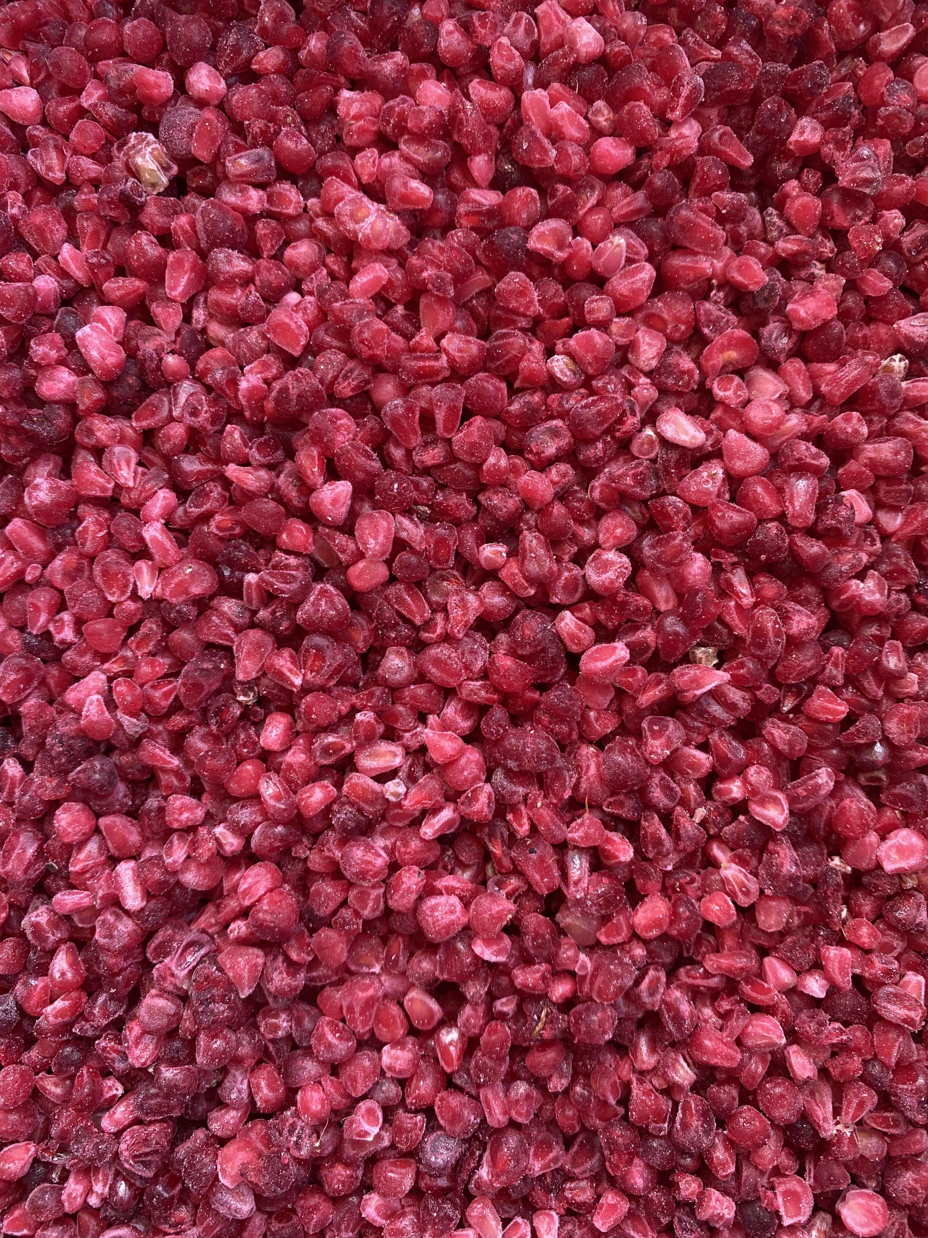 Conservazione pratica e durata prolungata