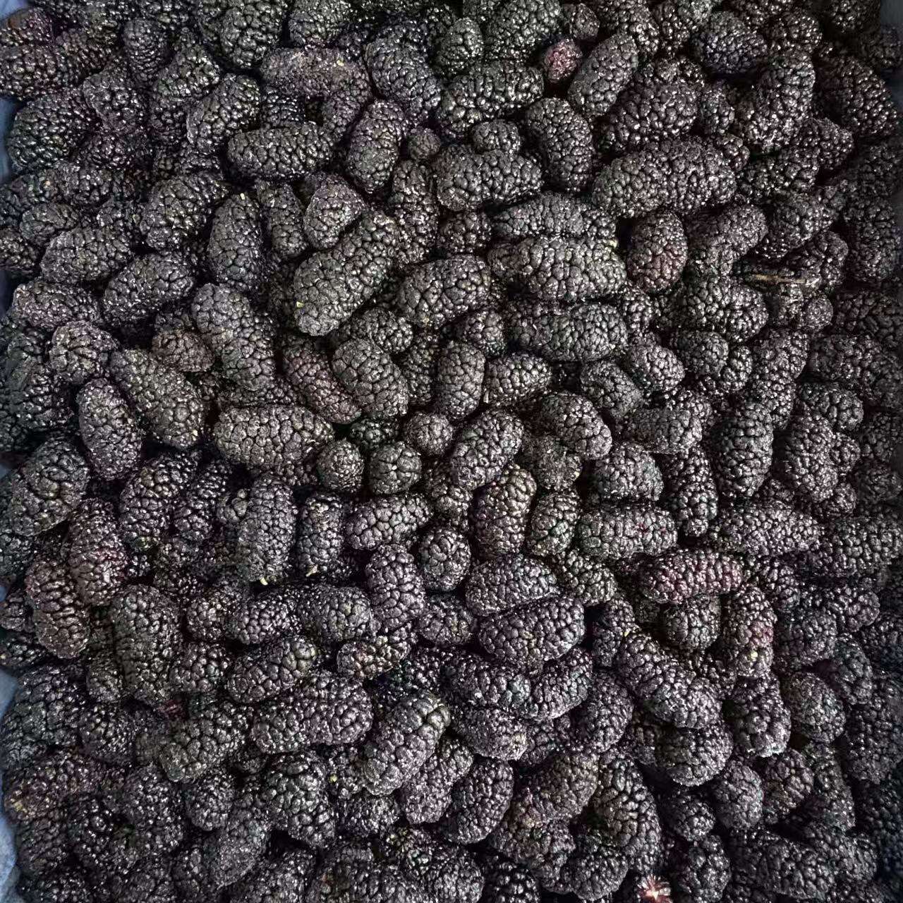 Why Sweet Dried Fruit Is Profitable for International Distributors