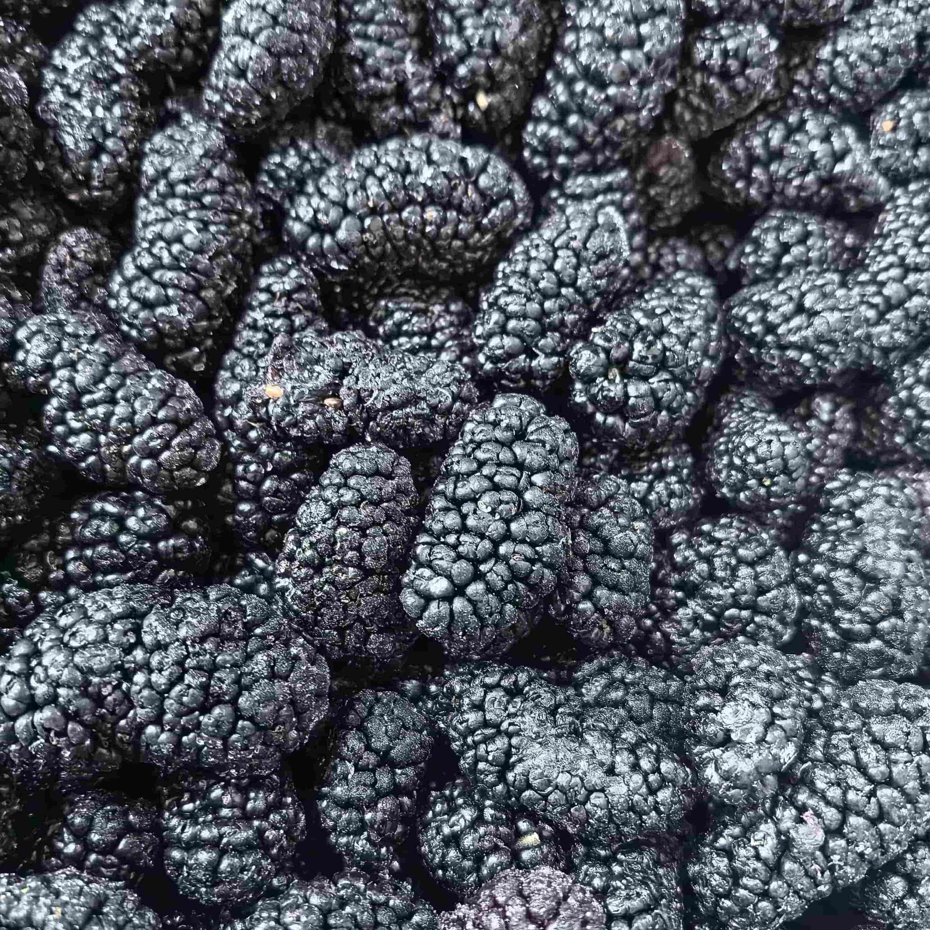 How to Preserve Sweet Dried Fruit Quality in Bulk Storage