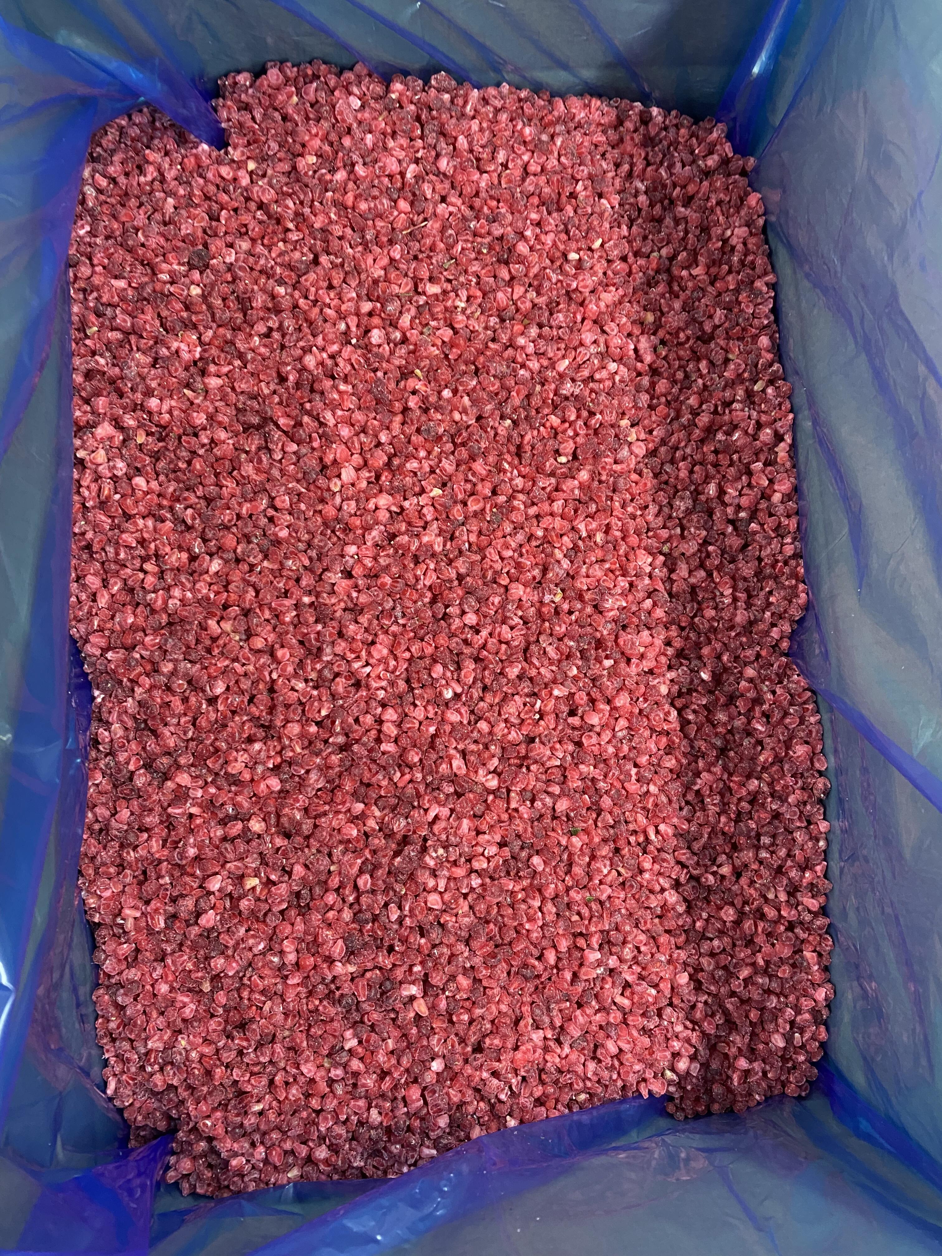 Disponibilità Tutto l'Anno ed Efficienza dei Costi