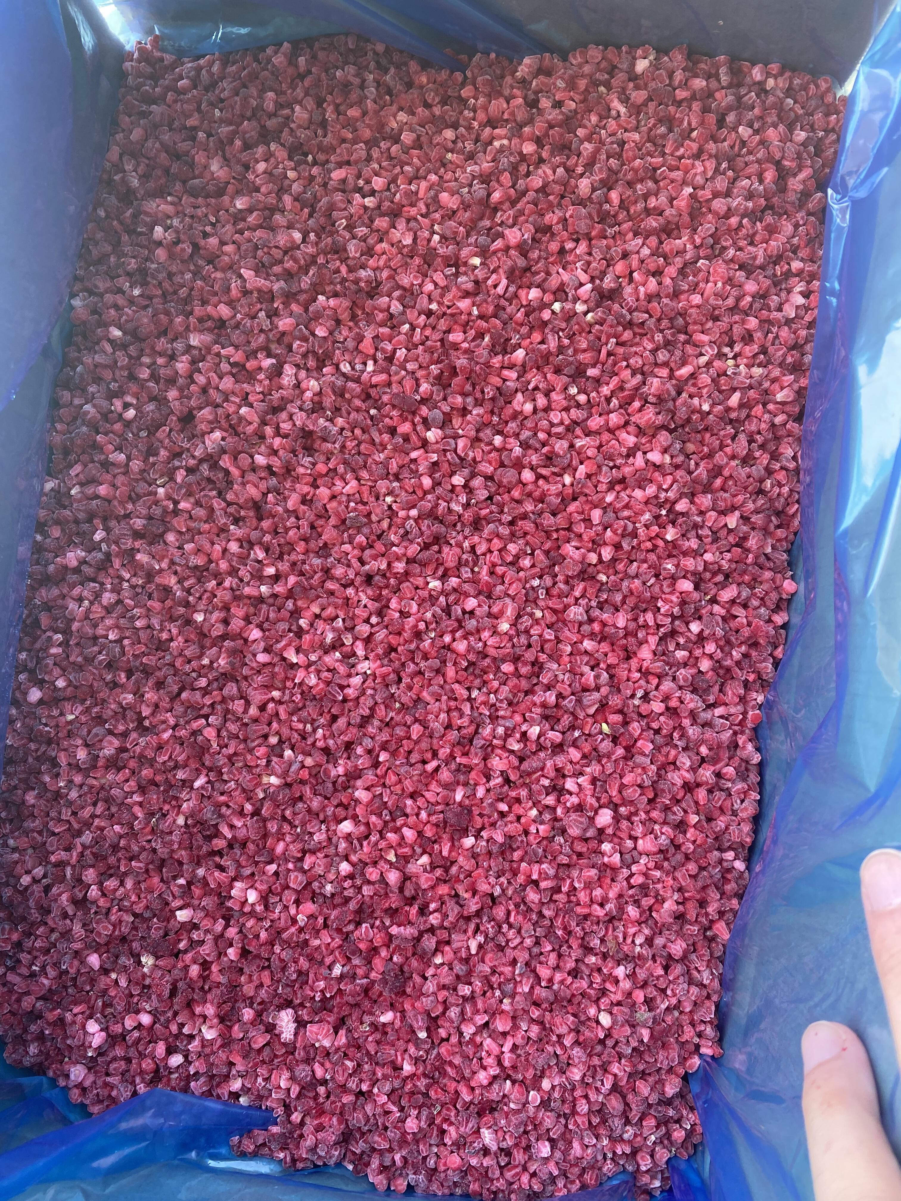 Year-Round Availability and Cost Efficiency