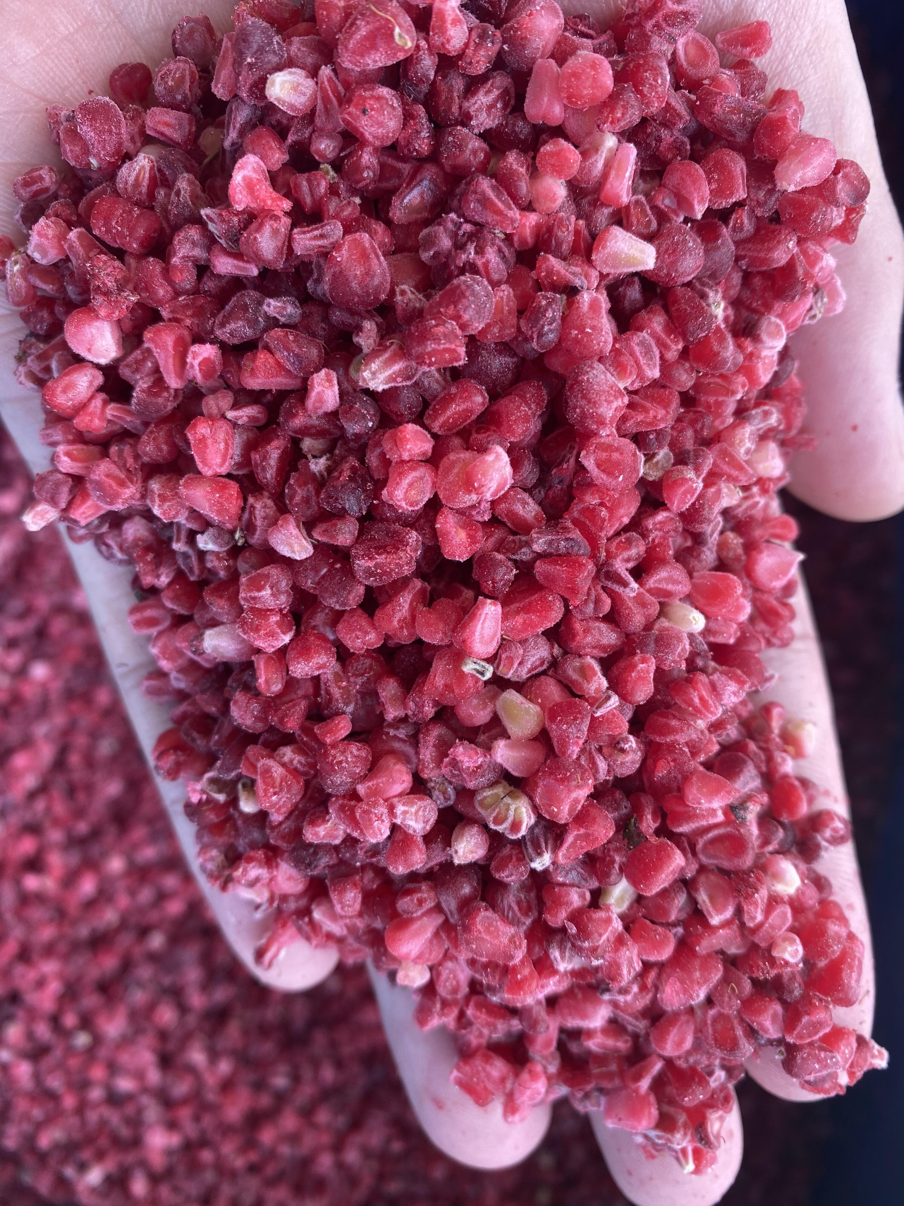 Applicazioni Versatili e Opzioni di Servizio