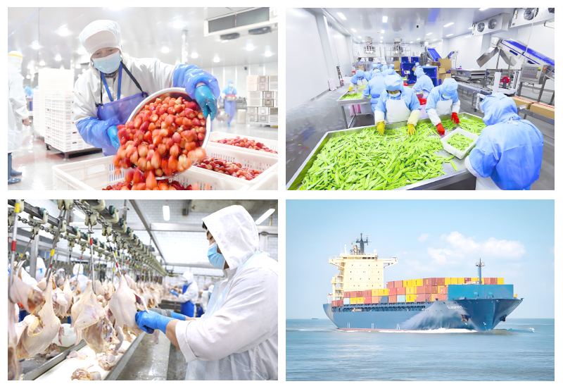 About Our Company