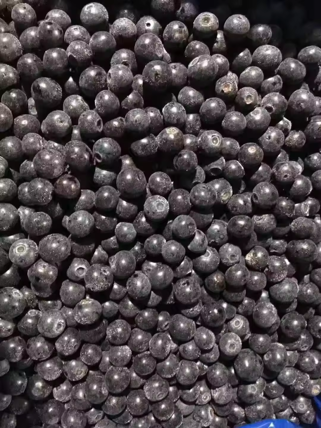 How to Choose Sweet Dried Fruit Suppliers for Wholesale Orders