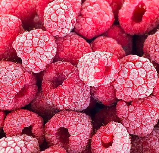 Izjemnost ekološkega kmetijstva