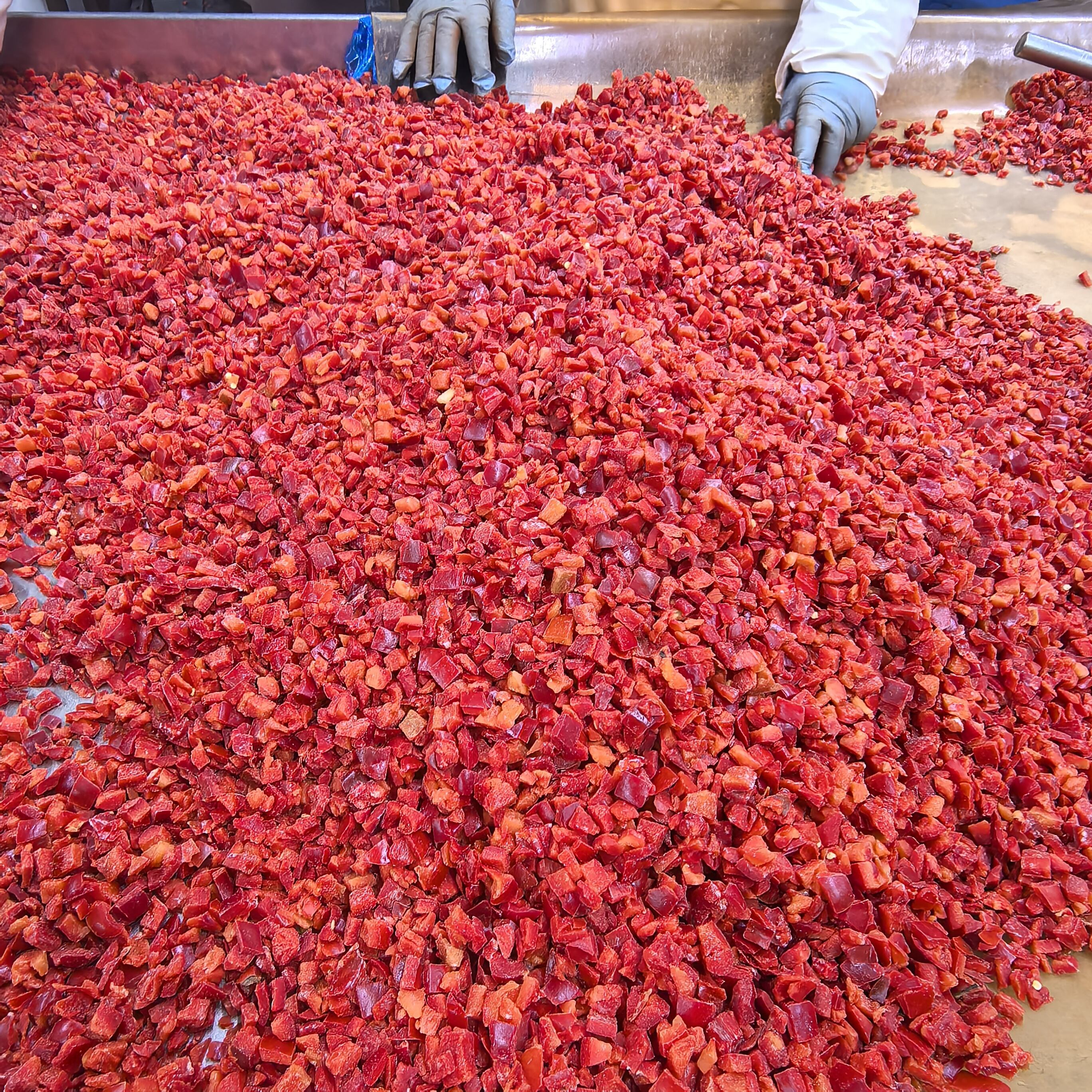 Як вибрати правильного постачальника готових страв для B2B-покупців