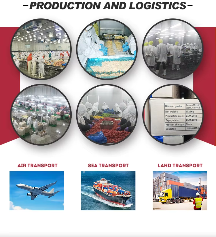 How to Choose Frozen Seafood Suppliers for International Buyers