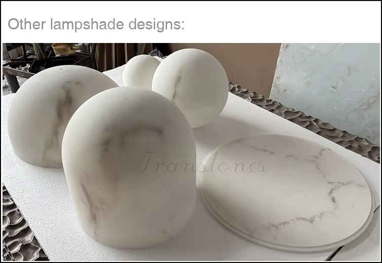 tt 204781-7