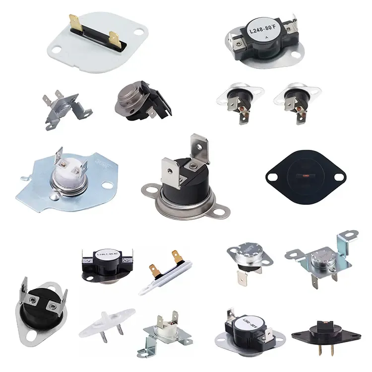 International Scope and Local Knowledge