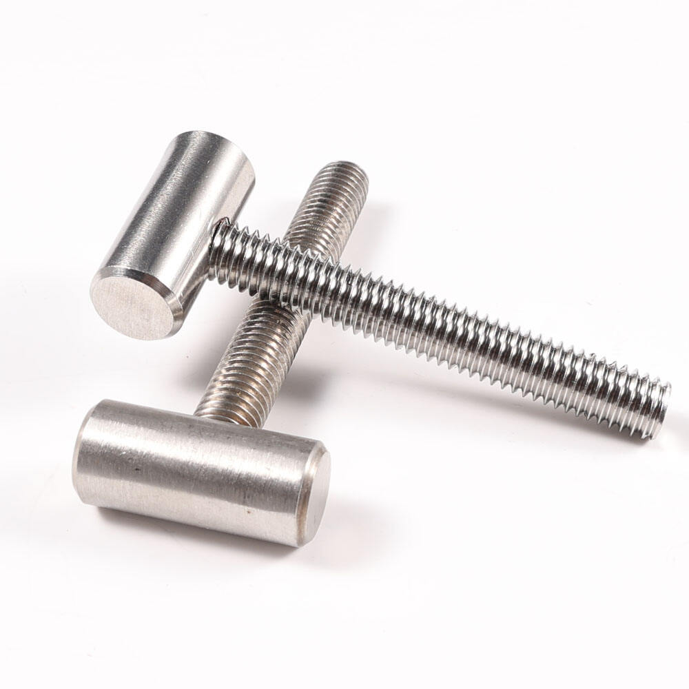 Fastener Hardware Custom Stainless Steel Welding Bolt T Type Foundation Bolts