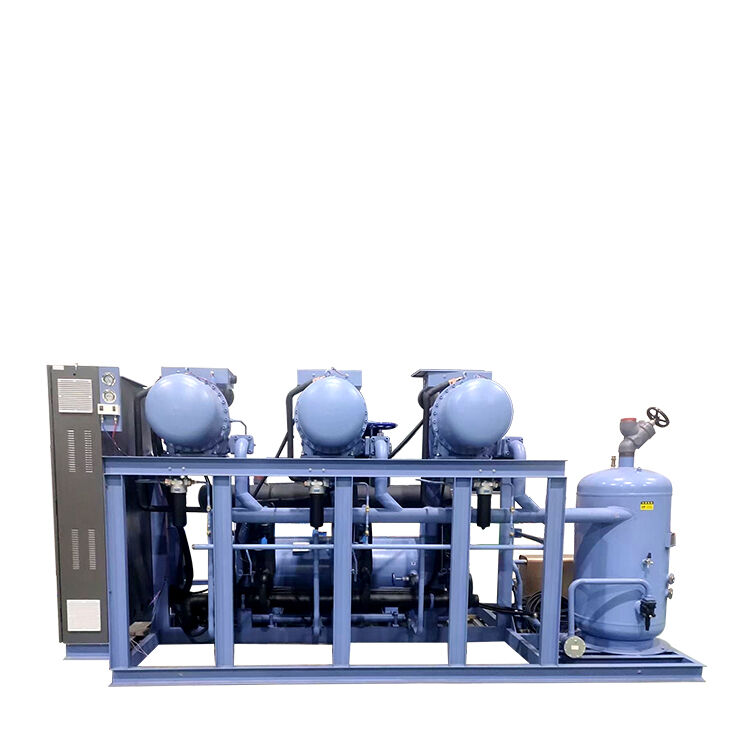 Unité de compresseurs parallèles Refcomp