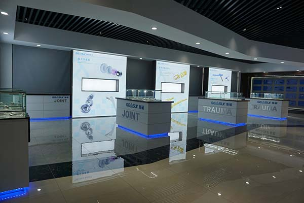 Spinal Implants for Spinal Fusion Augmentation Enhancing Fusion Success Rate