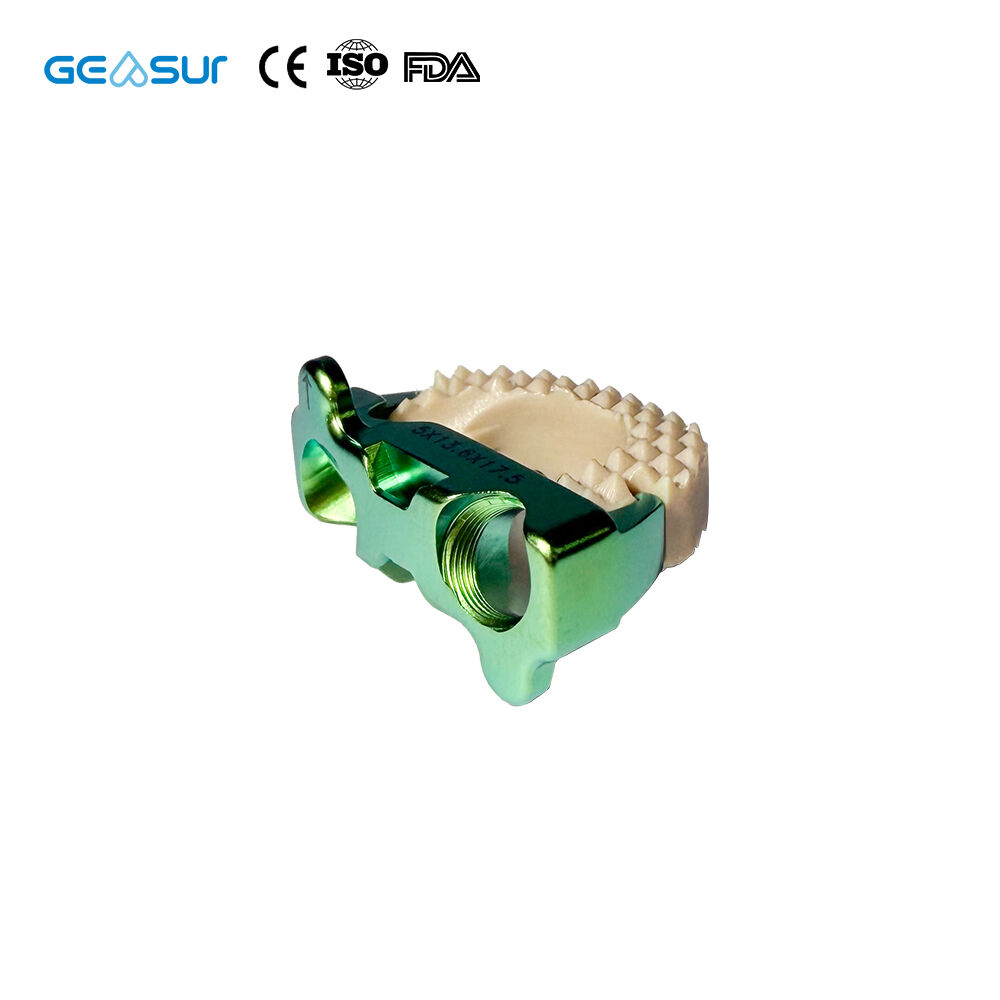 Advanced Biocompatibility of Geasure Peek Cage