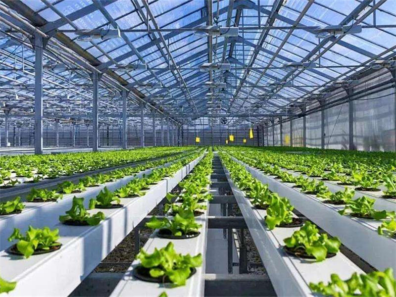 Agriculture & Livestock.jpg