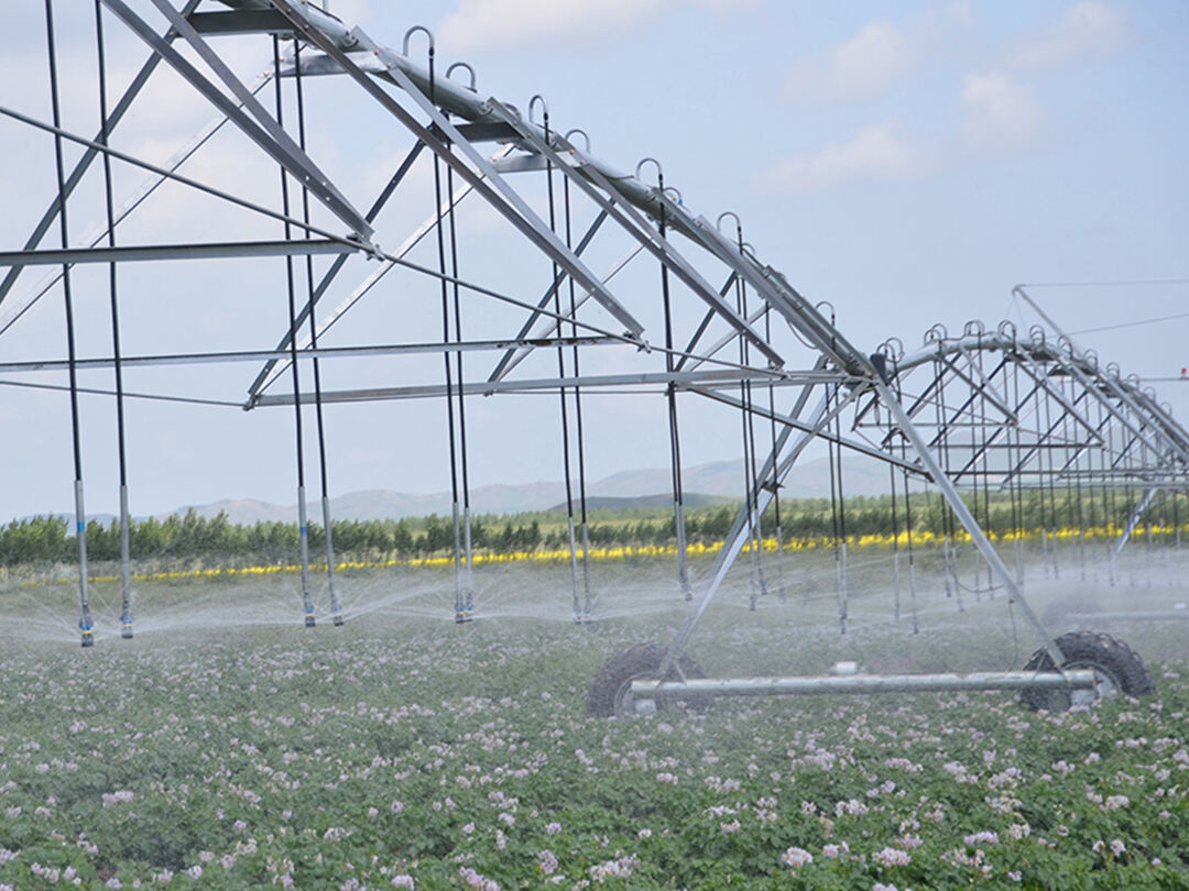 news 1(a1913f3ebe).jpg