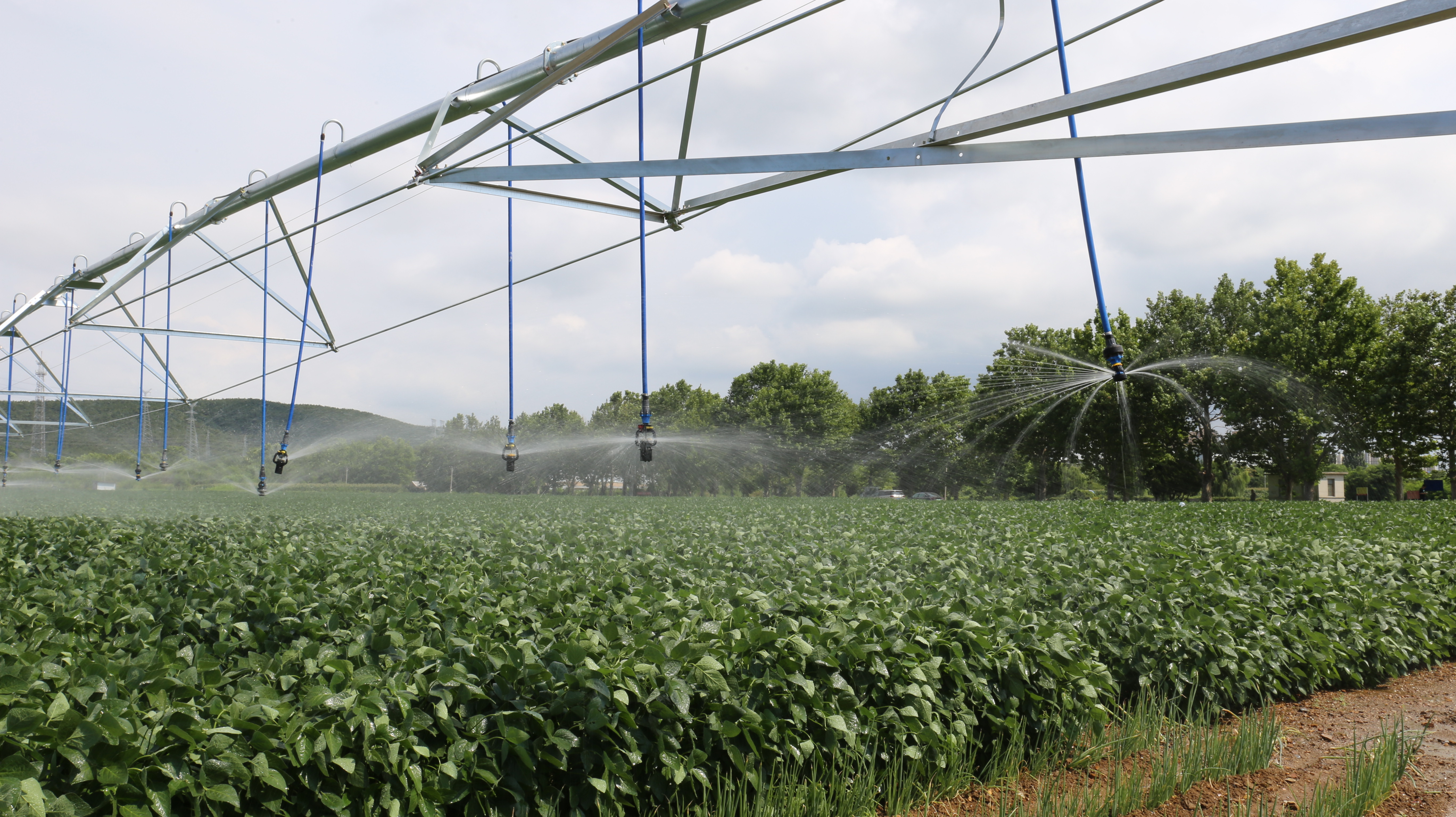 New Energy-Saving Grinders & BRS Launched, Reducing Energy Consumption by 25% for Large-Scale Farms