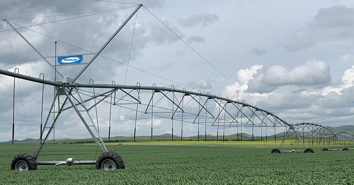 Custom Irrigation Systems & Separators for Global B2B Partners, Adapt to Different Crops (Grain, Fruit, Vegetables)