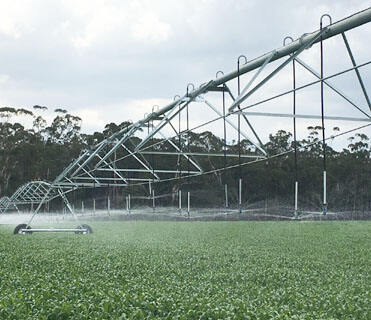 Maximizing Water Efficiency Through Pivot Irrigation