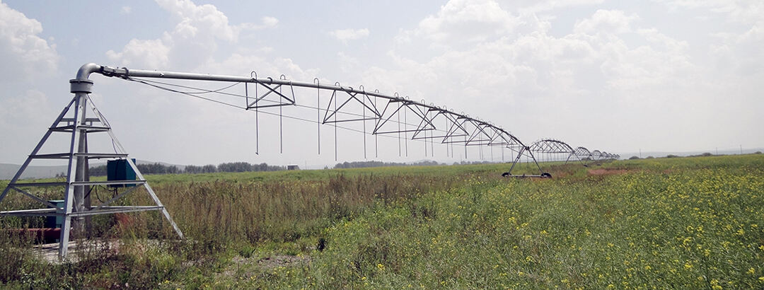 news 1(e15ea20e5d).jpg