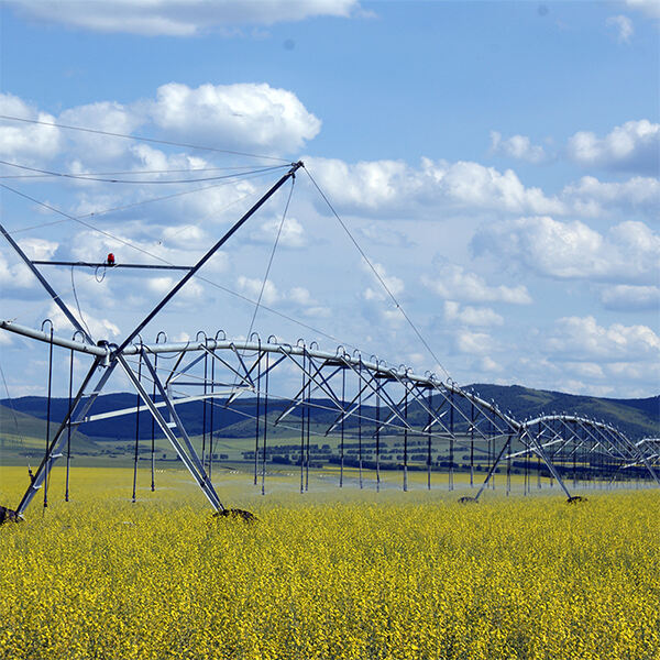 news 2(bd7ae1de2d).jpg