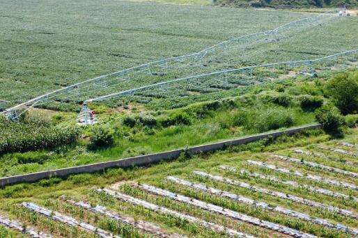 Center Pivot vs. Linear Move Irrigation Systems