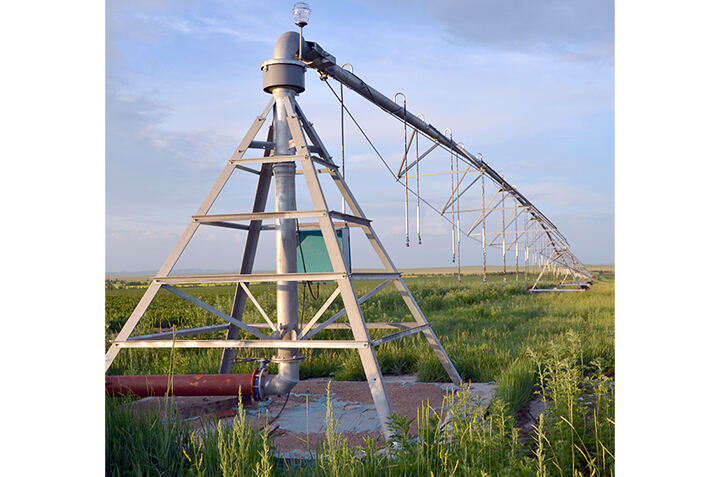 pic1.jpg