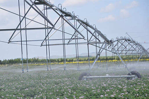 2025 New Launch: Smart Irrigation System with IoT Monitoring - Saves 50% Water for Corn Cultivation