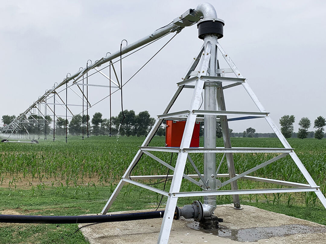 news 2(49679ce740).jpg