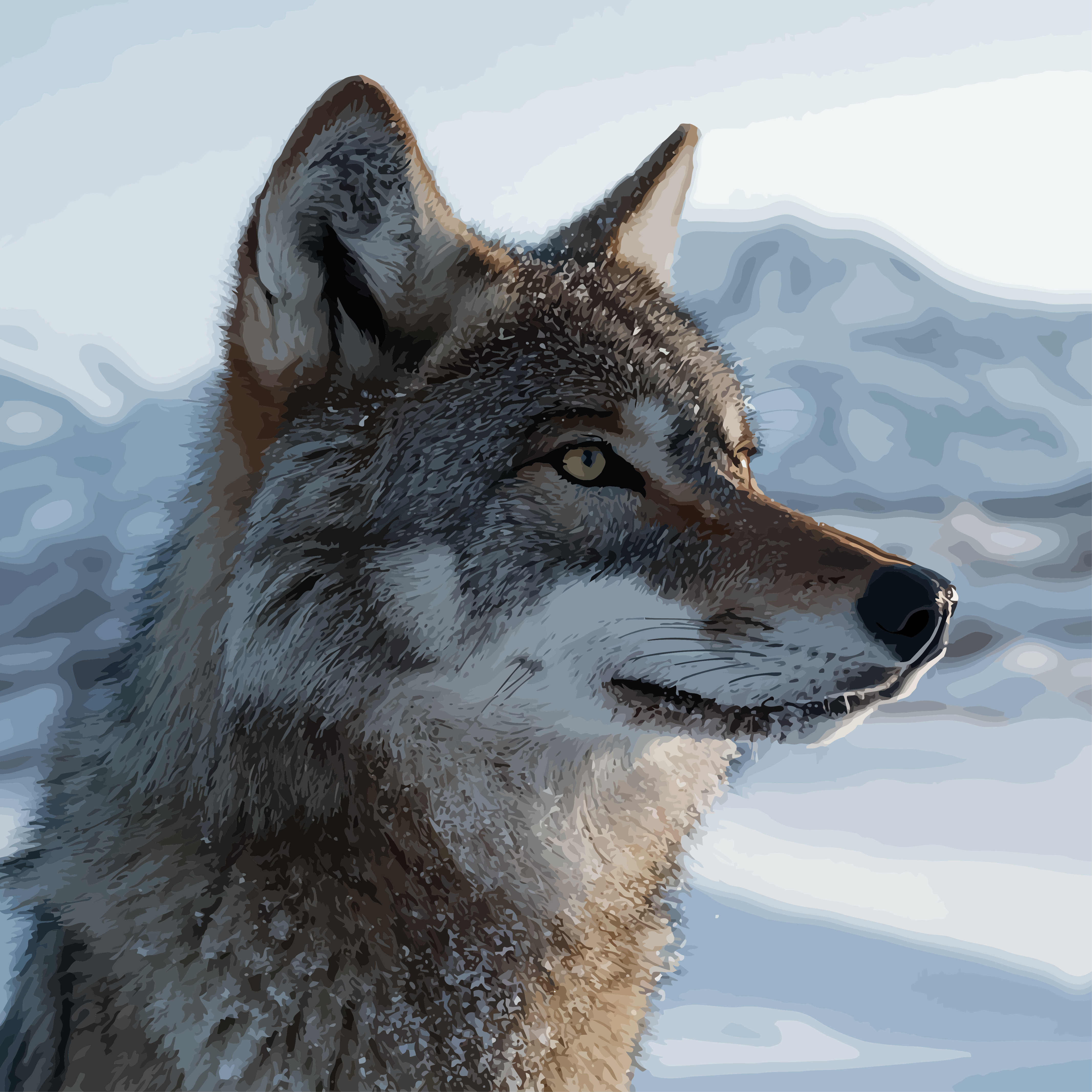 Großhandel Maßgeschneiderte Acrylbilder-nach-Zahlen-Sets Wilder Wolf im Schnee
