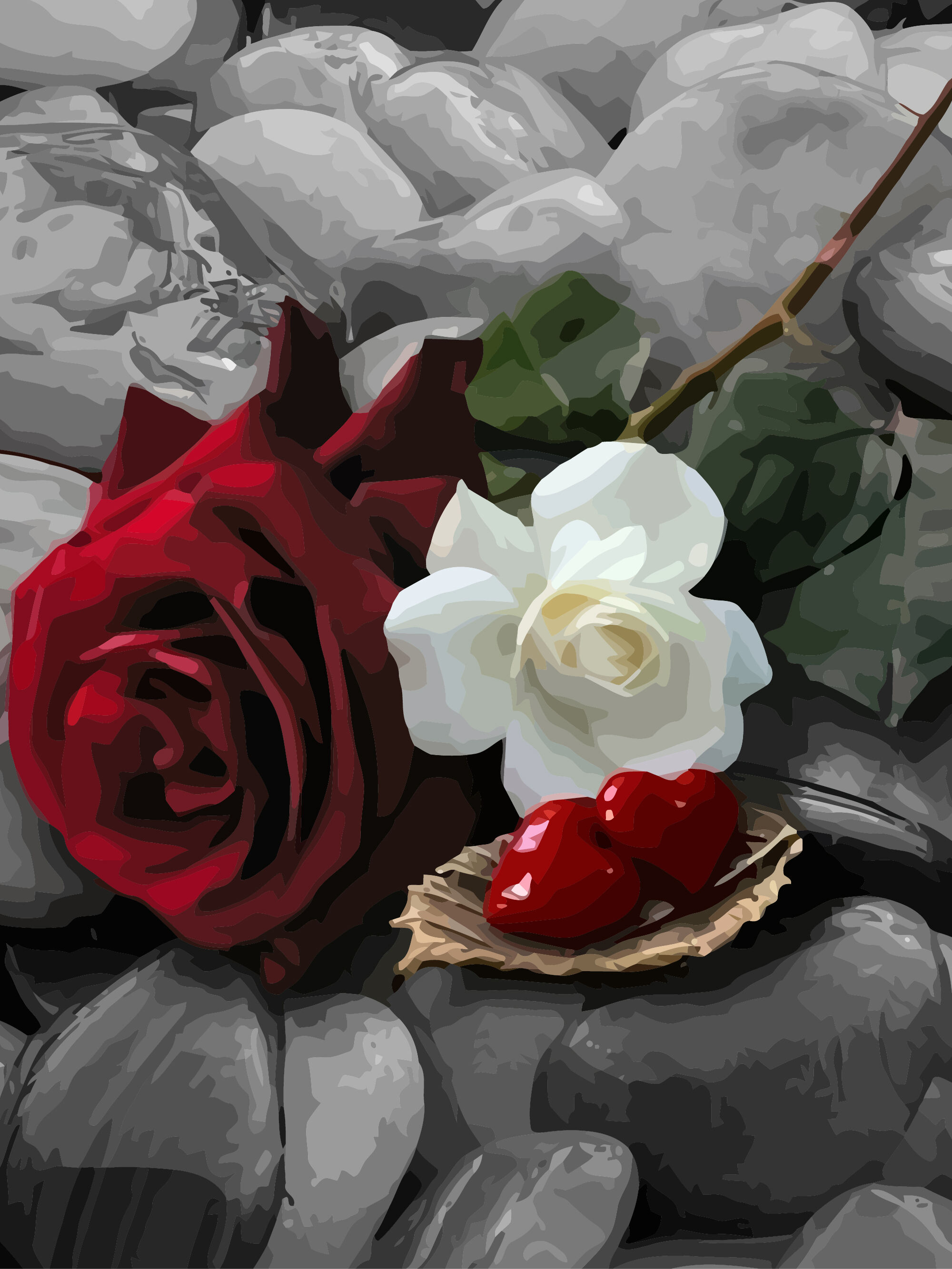 Lieferant Malen nach Zahlen Leinwand DIY Ölbilder Rote Rose Weißtöne
