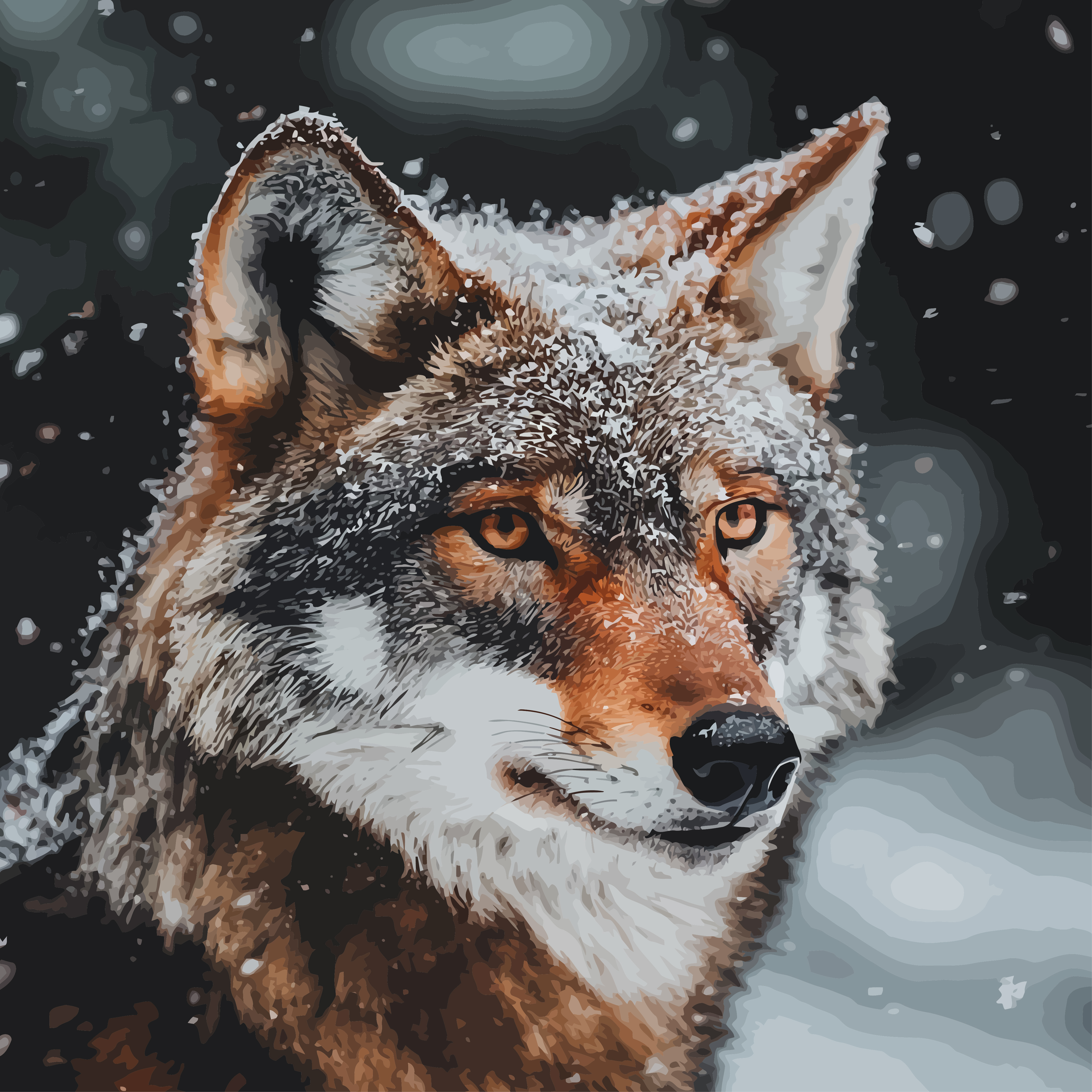 DIY Maßgeschneidertes Malen-nach-Zahlen-Set Schneeweißer Wolf