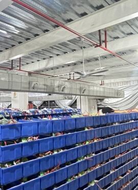 Insured worldwide shipping