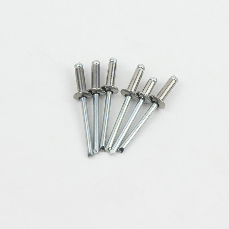 Stainless Steel Rivet