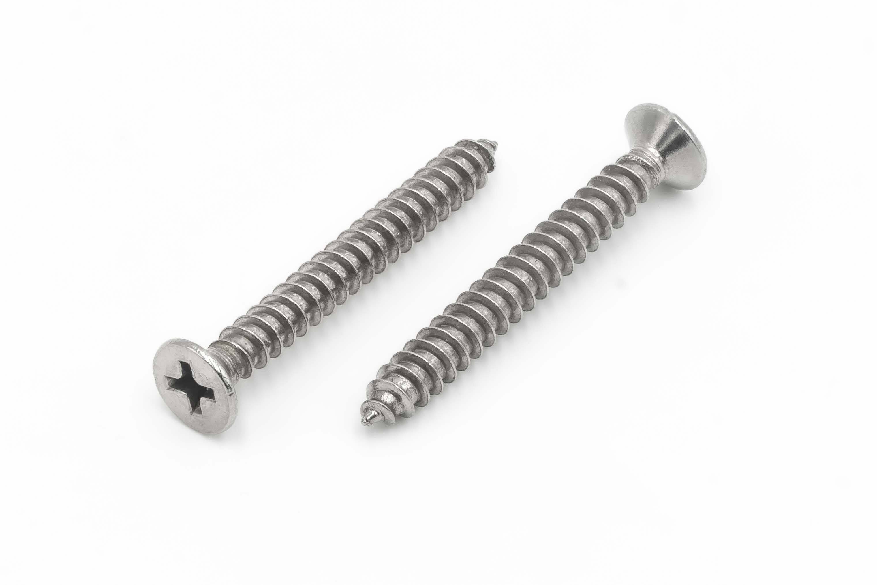Personalized Self Tapping Custom Solutions via OEM and ODM Services
