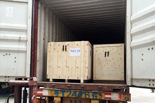 Turkey Full Container Shipment: Rave Reviews & Repeat Orders